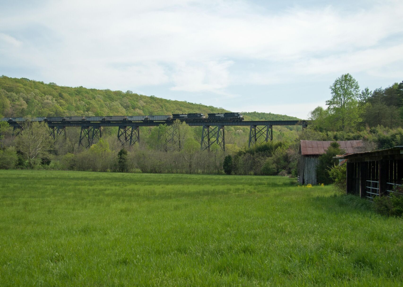 #43. Campbell County, Virginia
